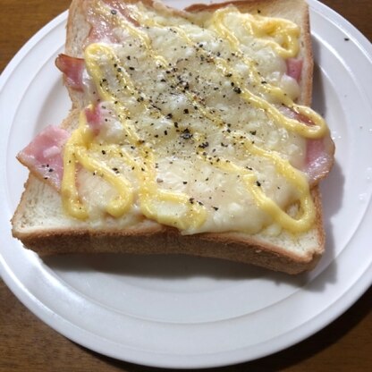 ハムとチーズとマヨとブラックペッパーのバランスが良かったです！朝食にいただきました！また作ります♪